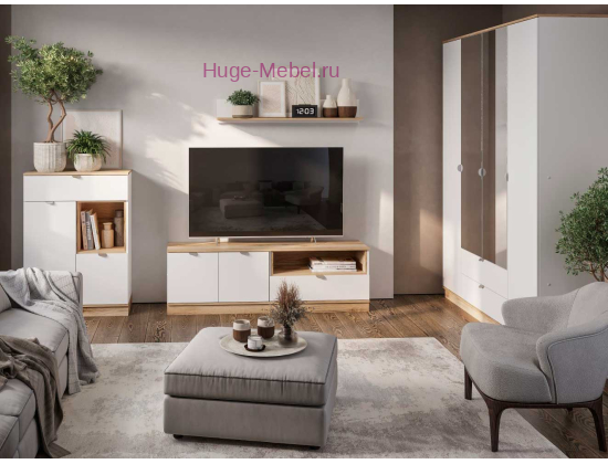 Стенка в гостиную "Юкки" К2